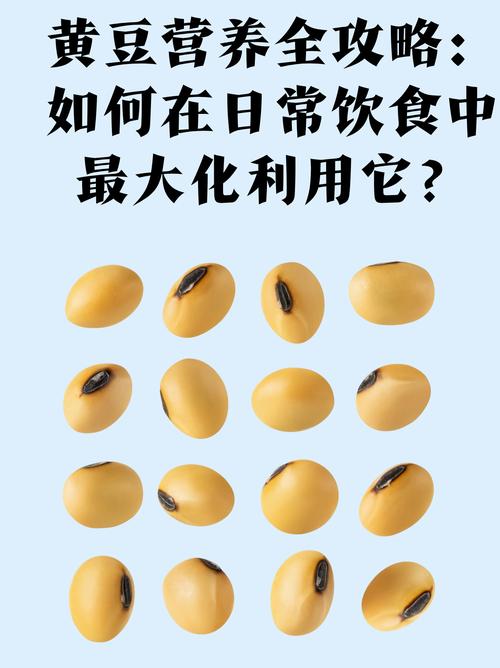黄豆为什么可以减肥