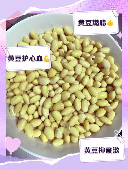 黄豆为什么可以减肥