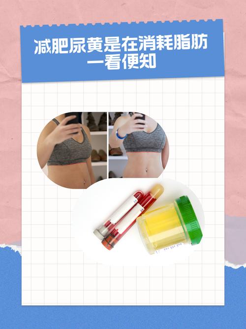 减肥期间小编什么颜色