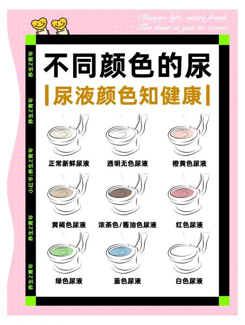 减肥期间小编什么颜色
