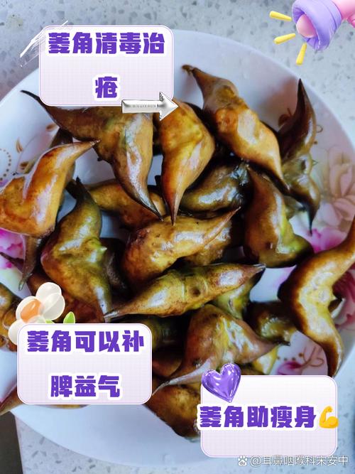 菱角为什么减肥