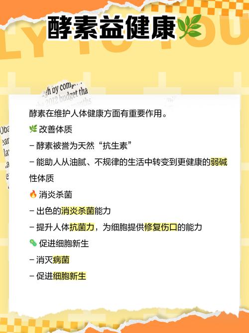 什么样的酵素减肥最
