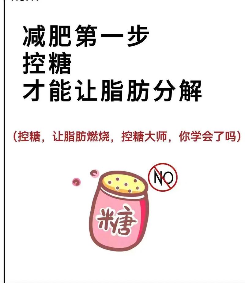 减肥用什么方法减的快不反弹