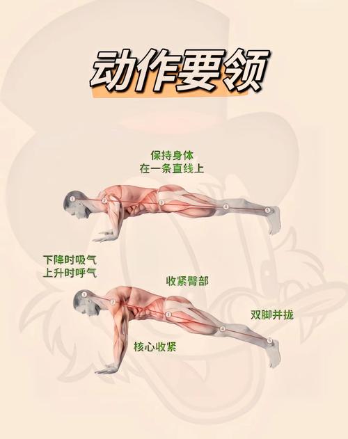 俯卧撑可以锻炼什么