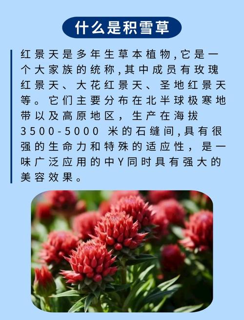 高原红是什么原因