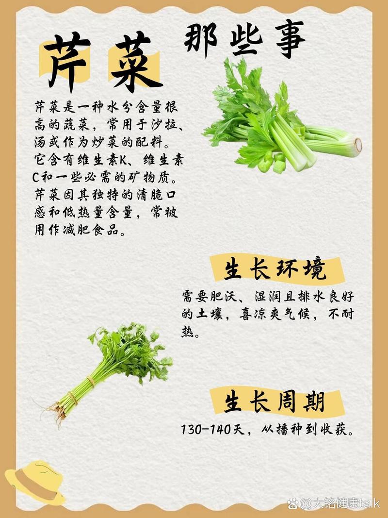 芹菜有什么营养价值