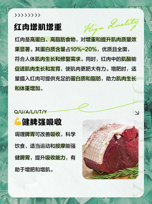 吃什么食物增肥最快