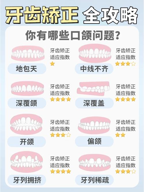 牙齿为什么能矫正