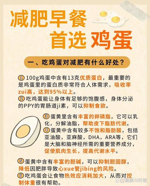 鸡蛋减肥原理是什么