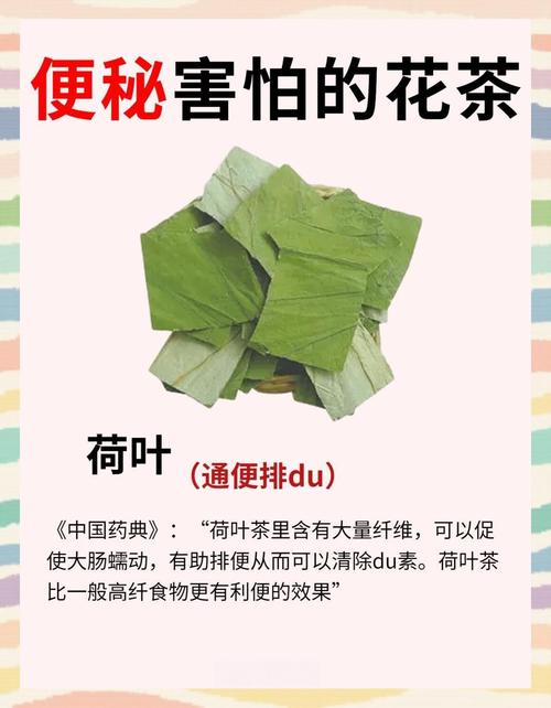 排毒通便喝什么茶