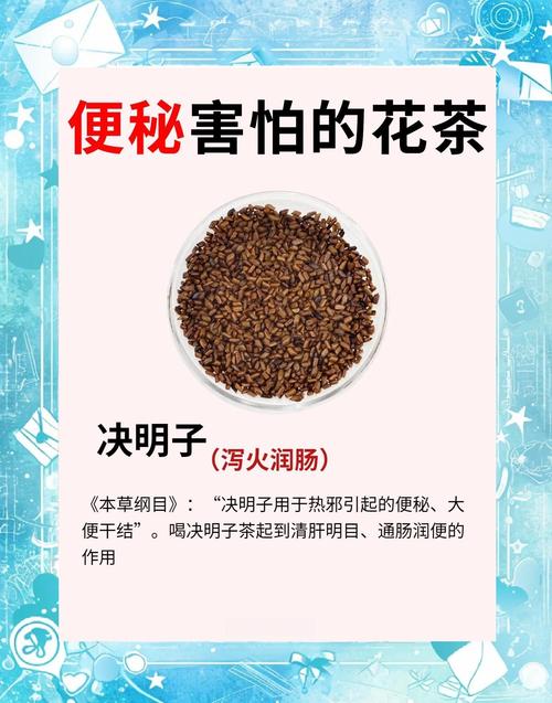 排毒通便喝什么茶