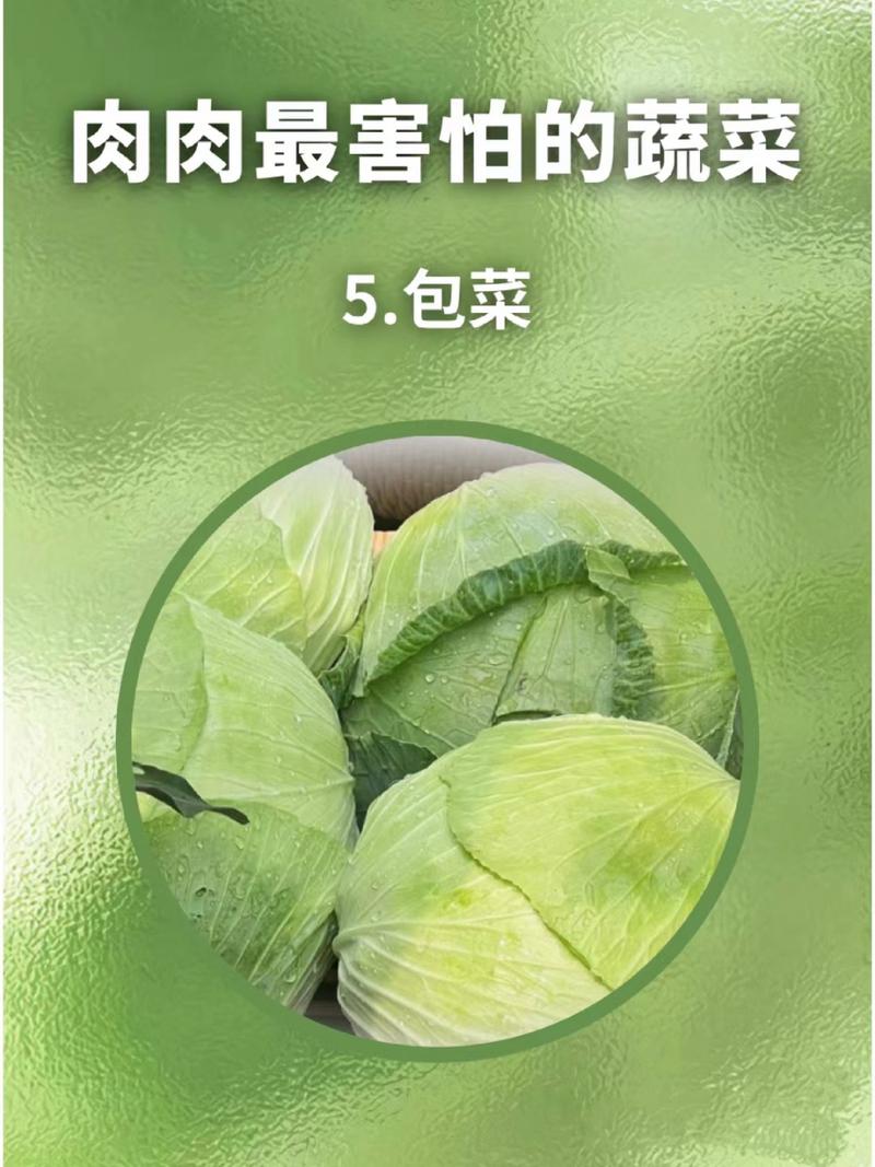 减肥最怕什么蔬菜