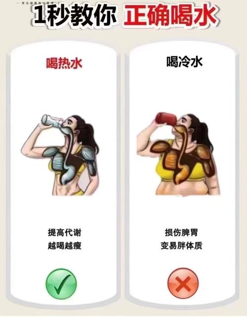 减肥为什么要喝温水