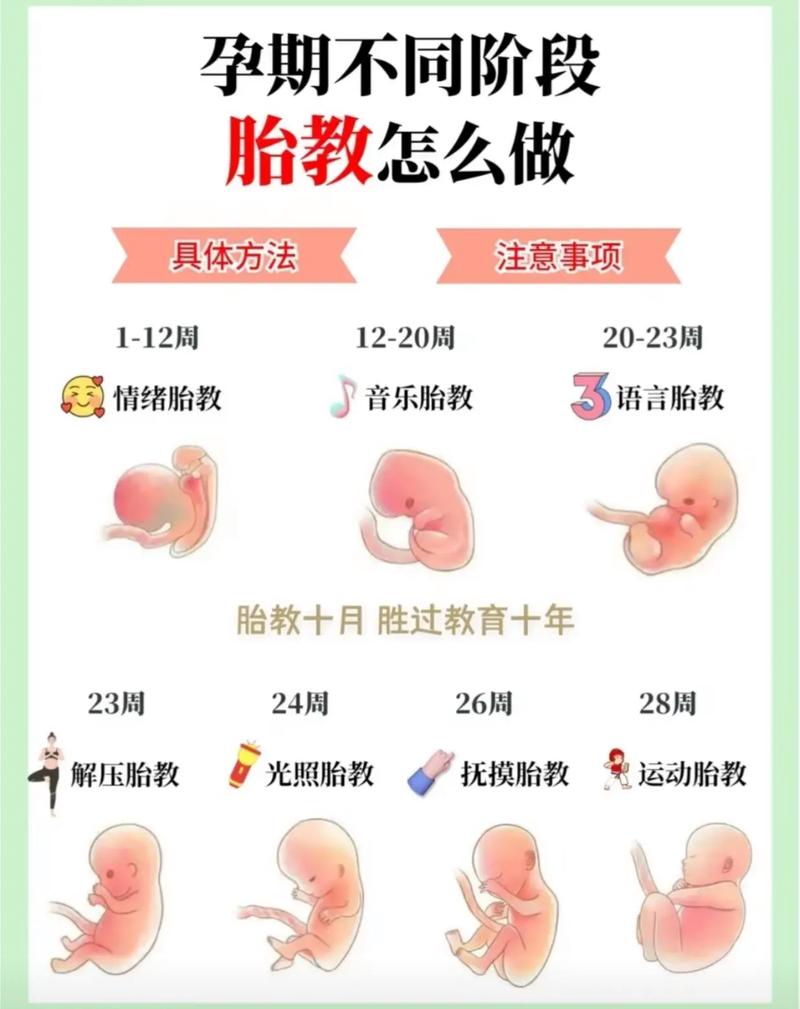 什么时候进行胎教