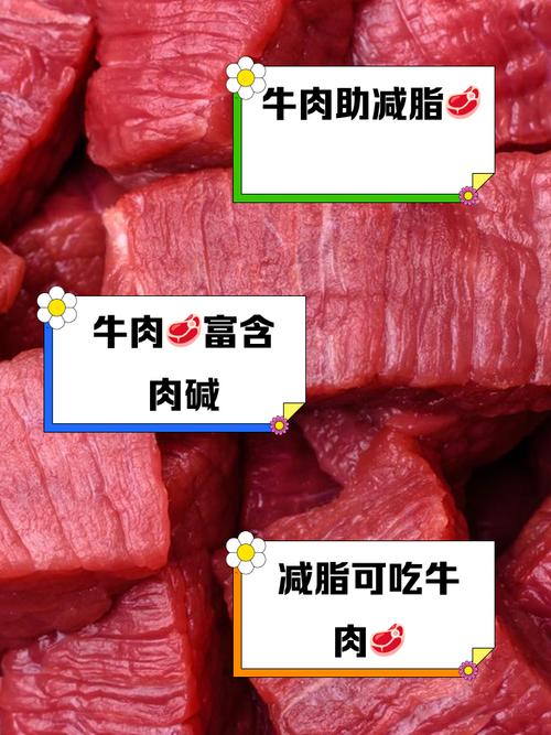 减肥过程中吃什么牛肉
