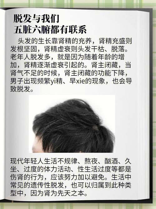 脱发跟什么有关系