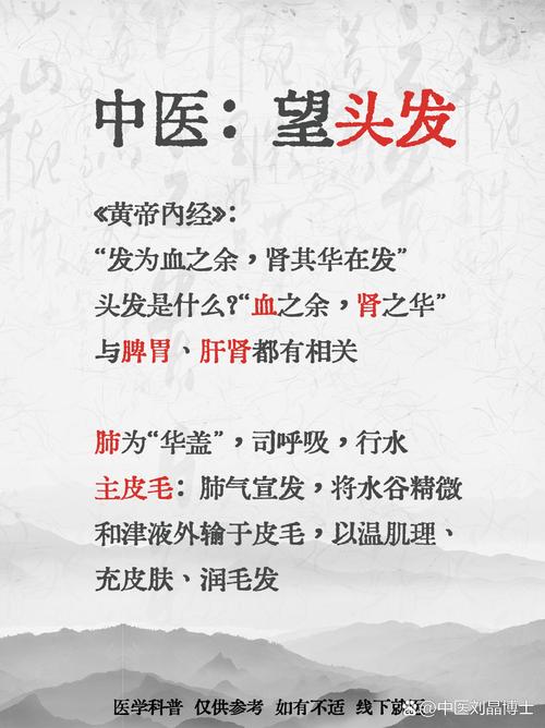 脱发跟什么有关系