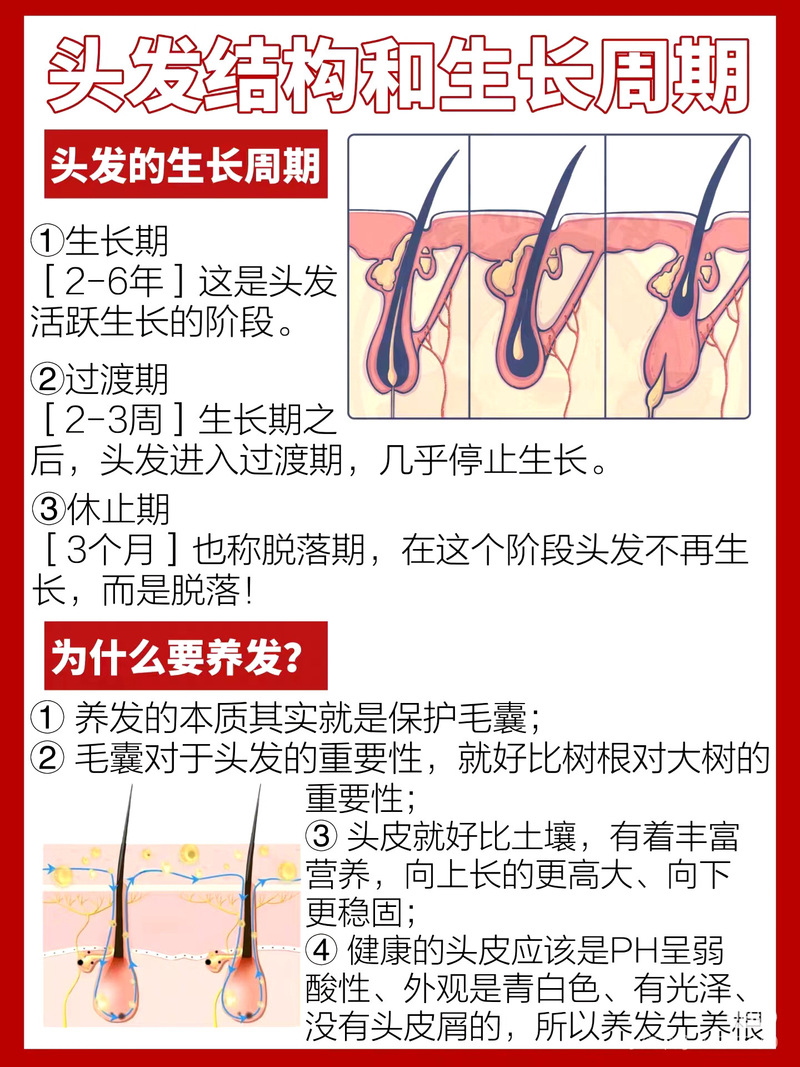 脱发跟什么有关系