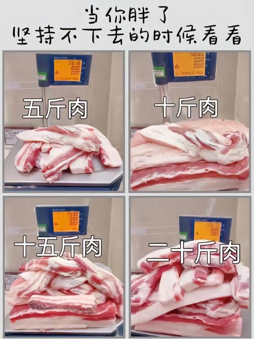 减肥吃什么肉 效果好