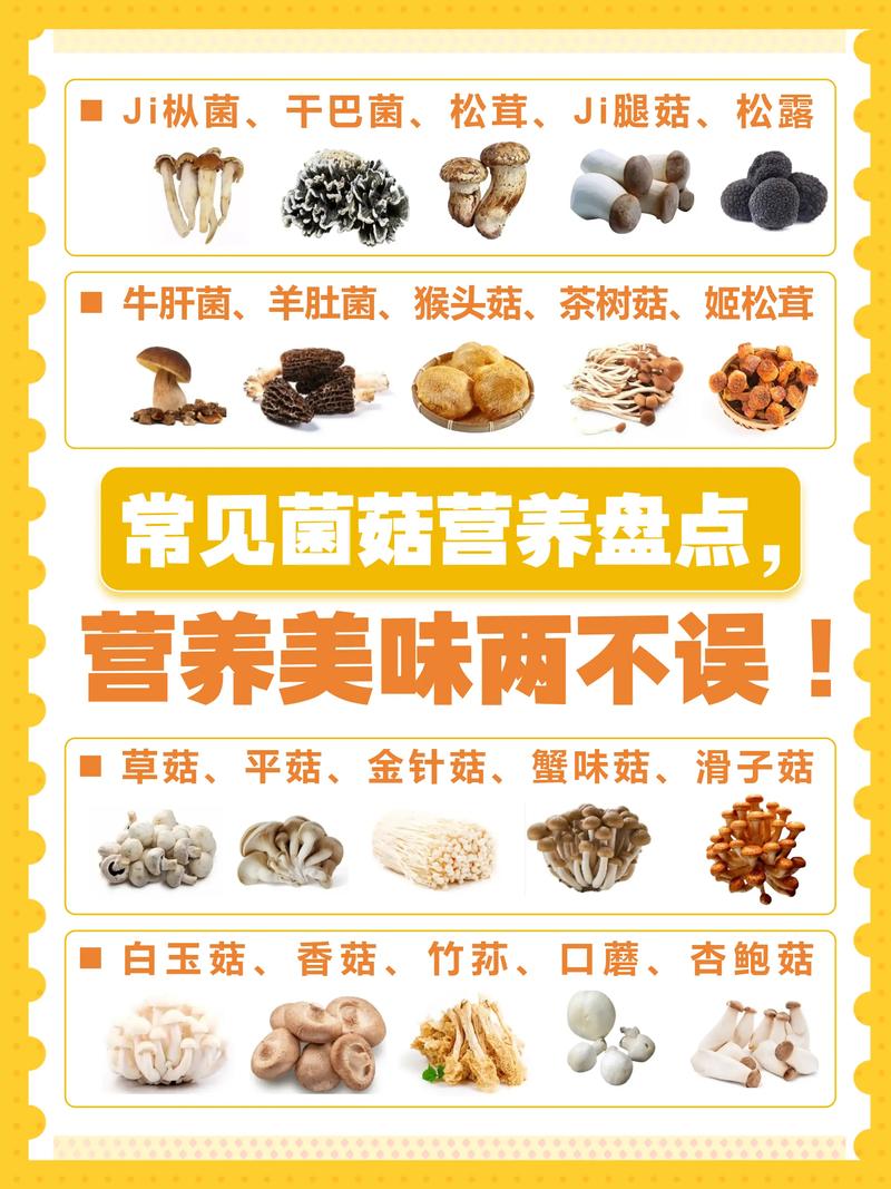 什么蘑菇最有营养