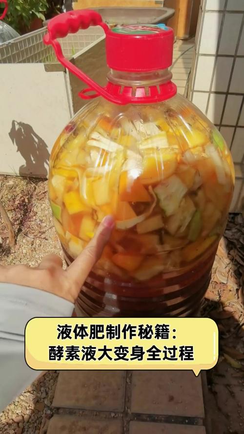 做酵素用什么