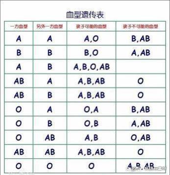 什么血型最贵