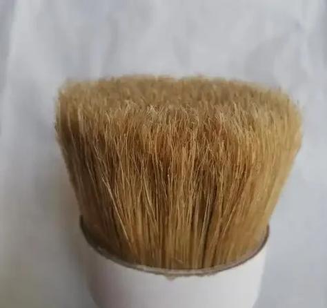 什么鬃毛