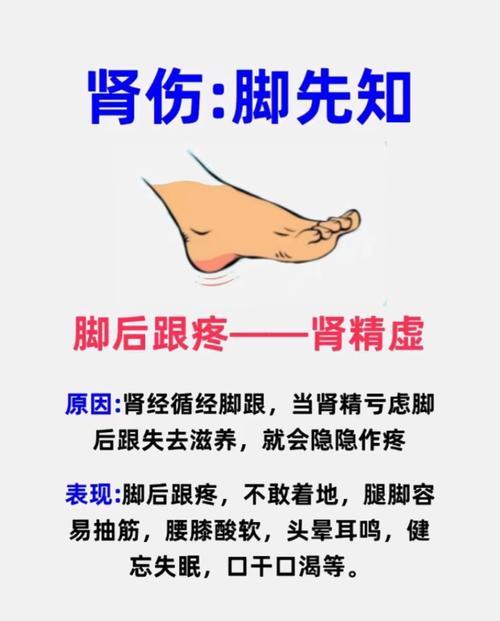脚肚子疼是什么原因