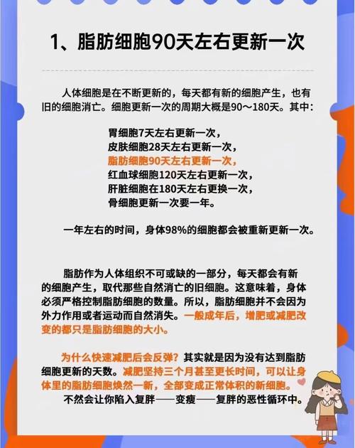 为什么减肥要坚持3个月