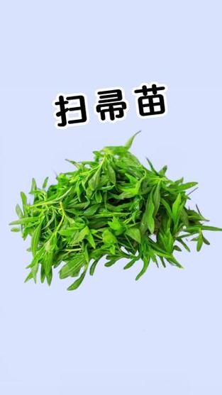 什么野菜减肥最快