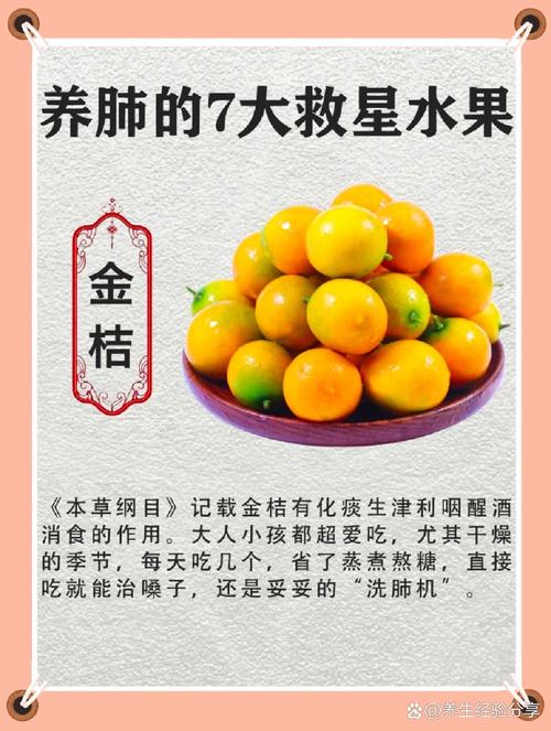 吃什么食物可以清肺