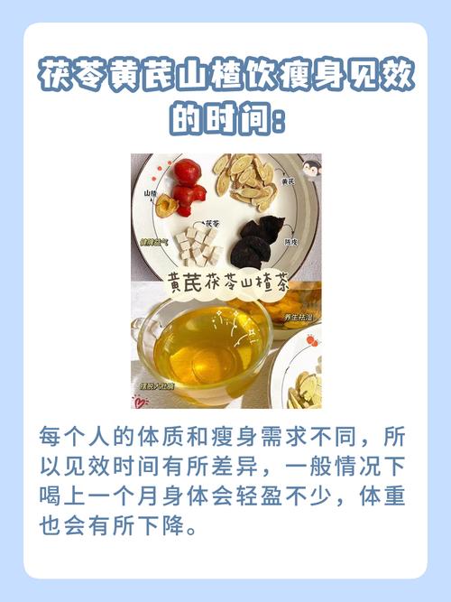 减肥中药什么时候吃