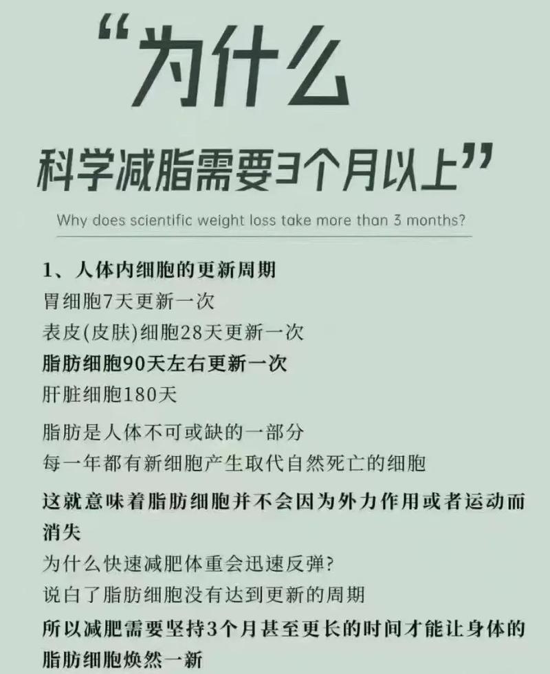 减肥为什么是三个月