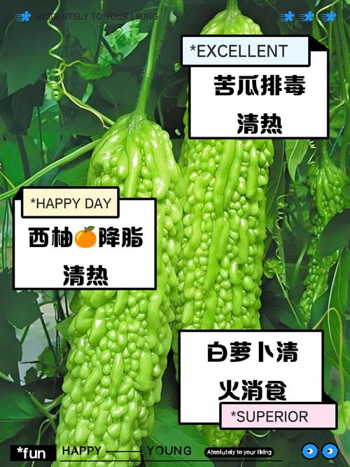 什么东西去火快
