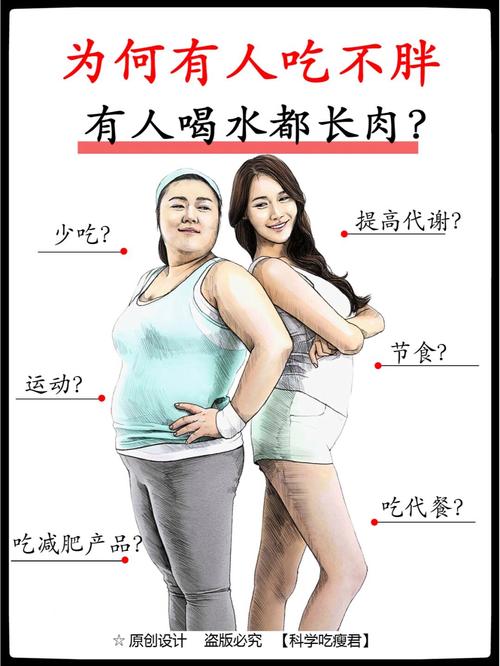 为什么长胖了