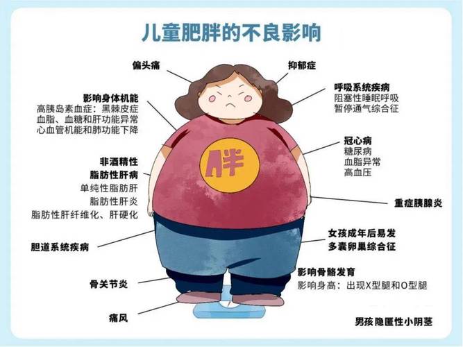 为什么长胖了