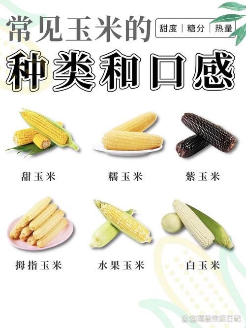 什么玉米有助于减肥