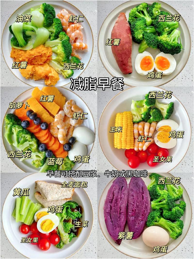 快速燃脂减肥吃什么