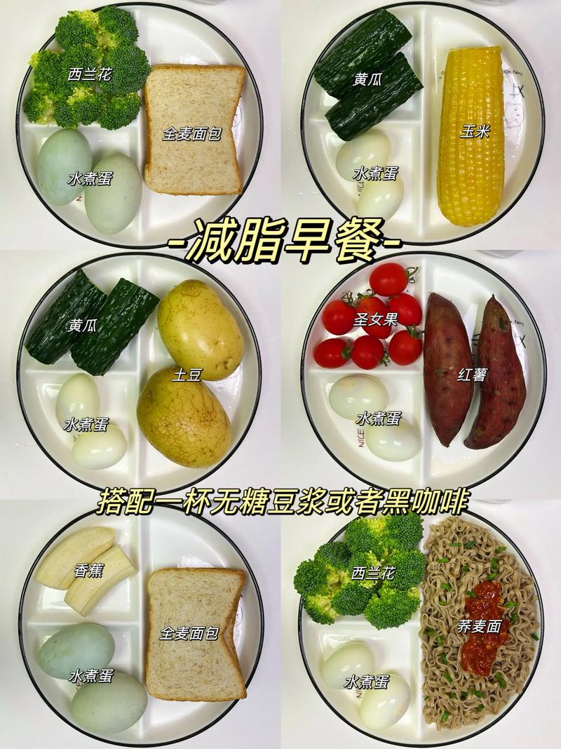 快速燃脂减肥吃什么