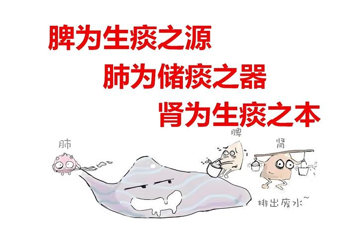 痰湿体质用什么减肥最快