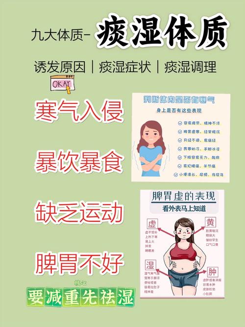 痰湿体质用什么减肥最快