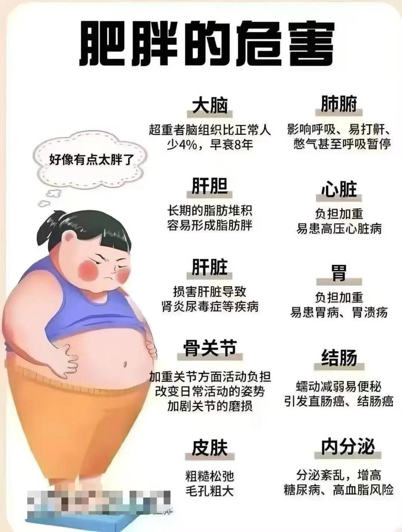 为什么都说减肥伤身体