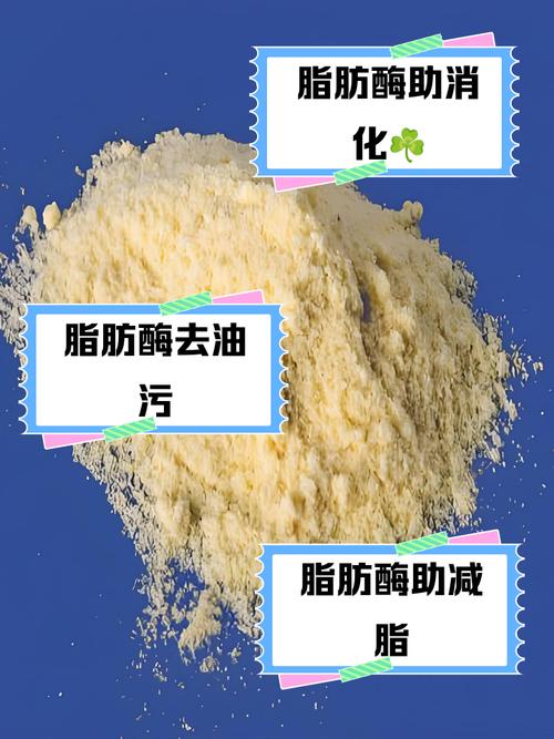 溶脂酶是什么