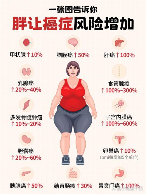 肥胖会引起什么疾病