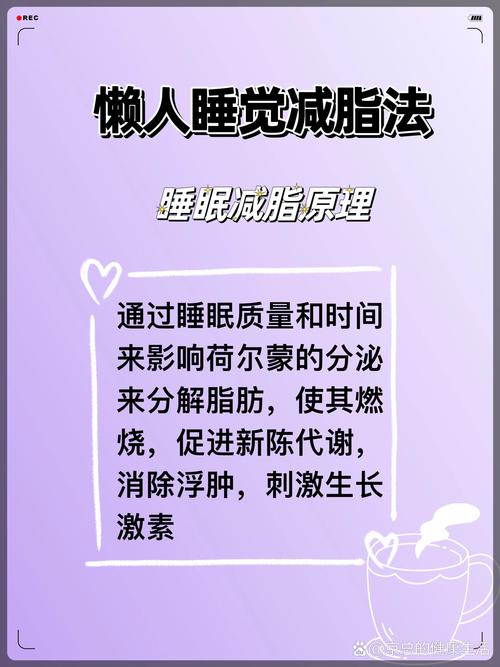 睡觉为什么能减肥