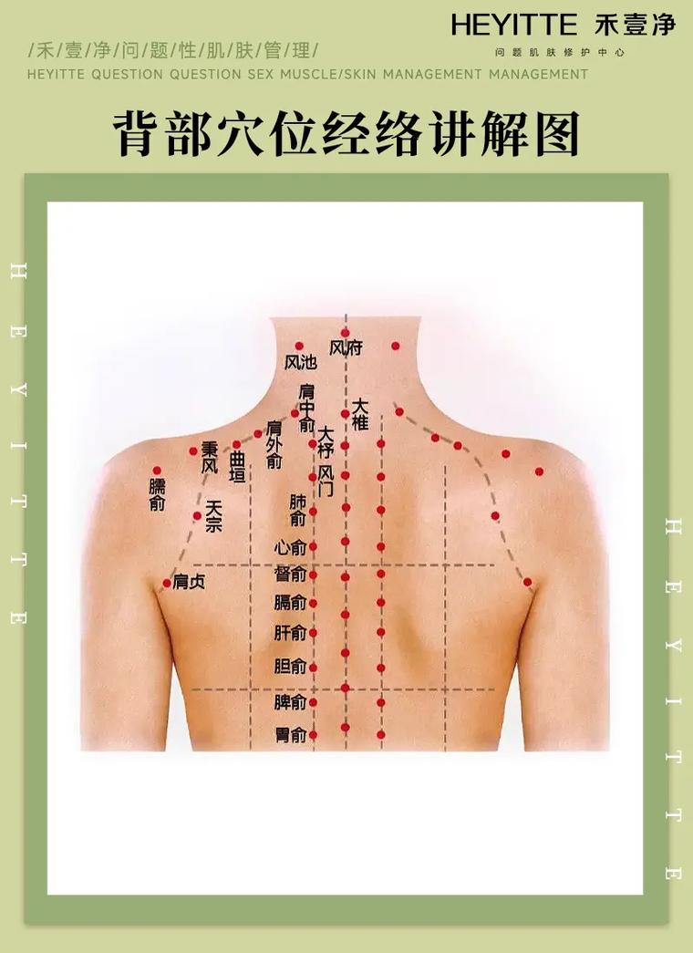 后背有什么经络