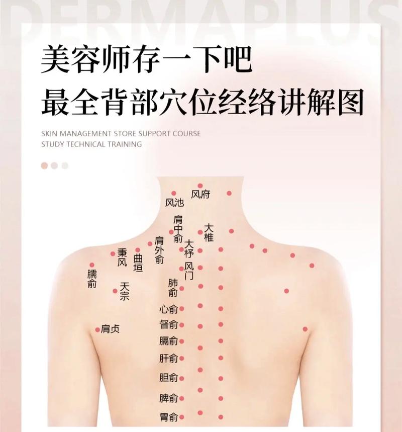 后背有什么经络