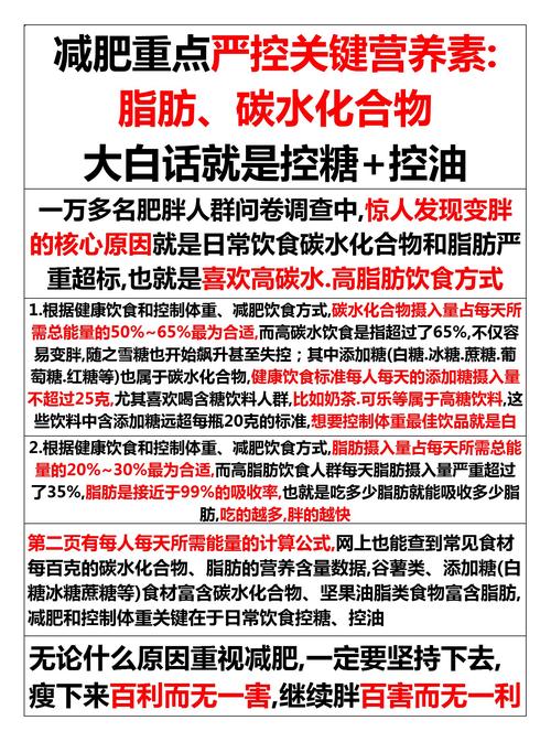 减肥减肥有什么成分