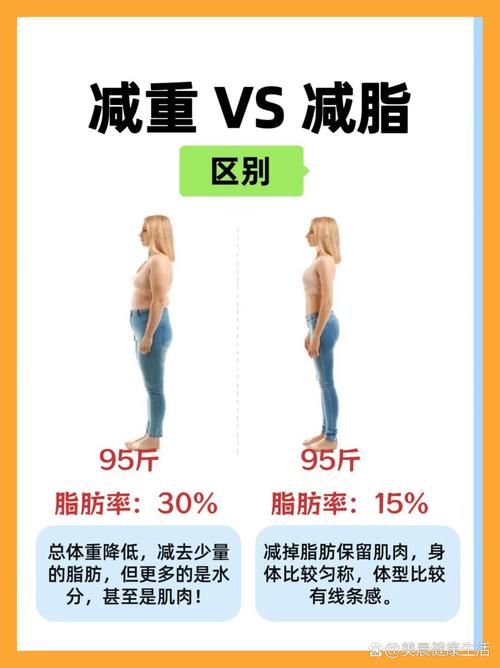 减肥和塑形主要有什么项目