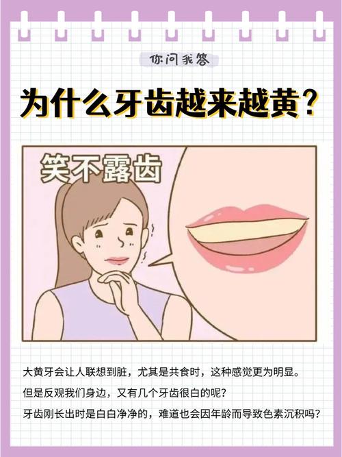 牙为什么越来越黄